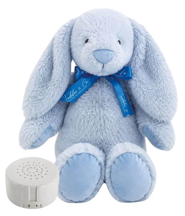Soft blue heartbeat teddy bear keepsake that plays back baby's recorded heartbeat